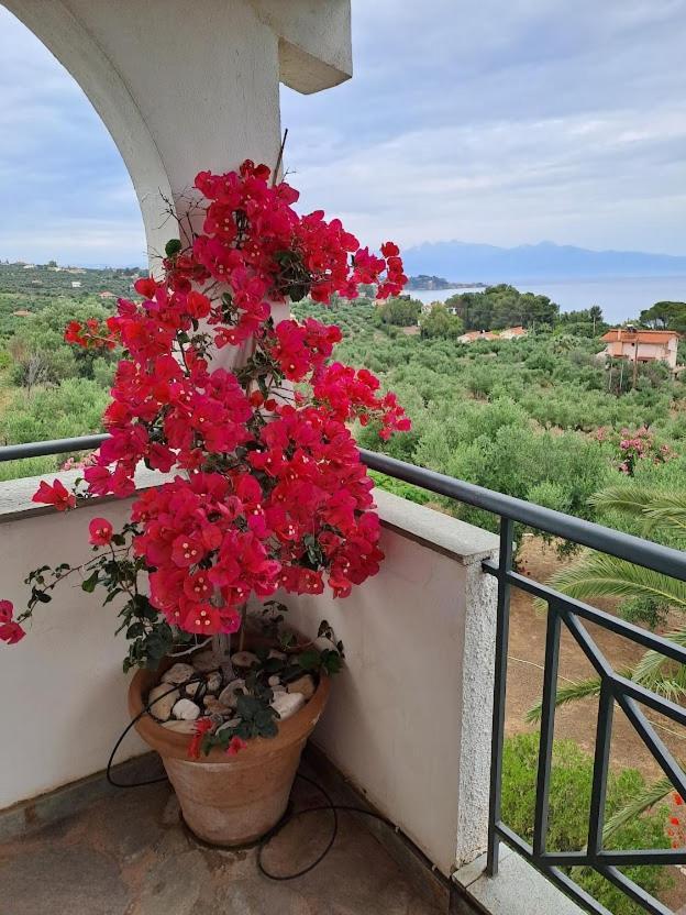 Villa Mariana Koróni Εξωτερικό φωτογραφία
