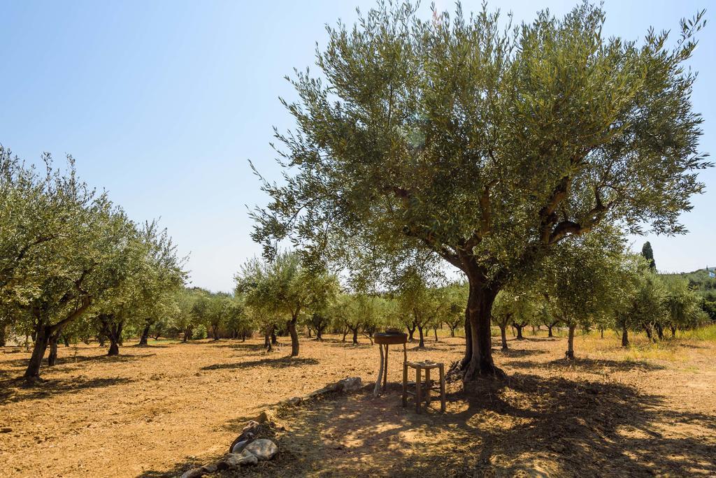 Villa Mariana Koróni Εξωτερικό φωτογραφία